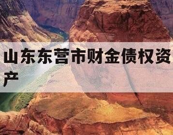 山东东营市财金债权资产