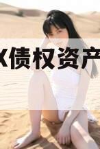 ZYSX债权资产转让项目
