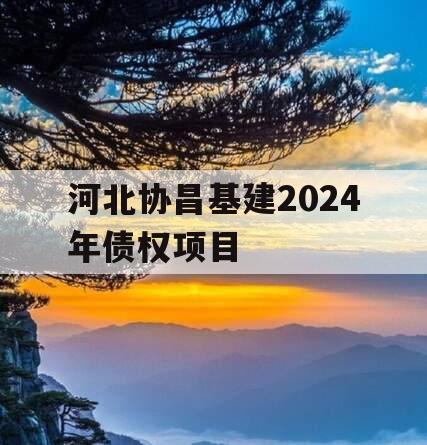 河北协昌基建2024年债权项目