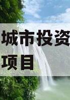 内黄县城市投资开发债权转让项目