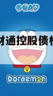 林州财通控股债权转让项目