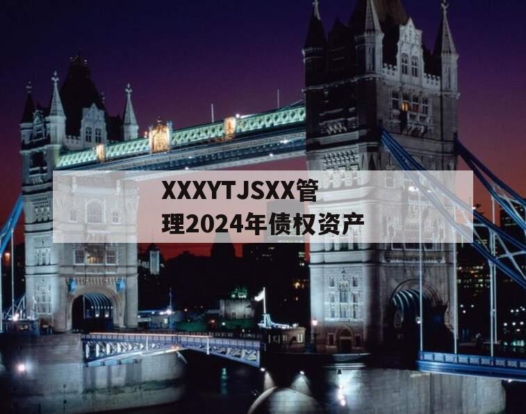 XXXYTJSXX管理2024年债权资产