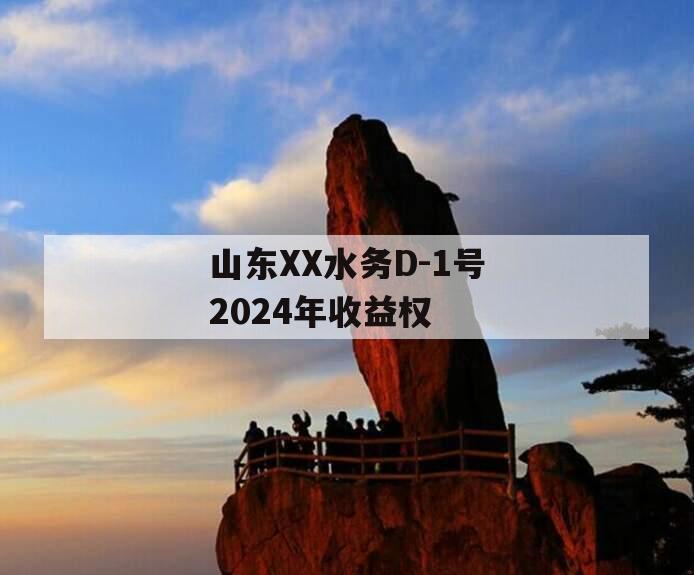 山东XX水务D-1号2024年收益权
