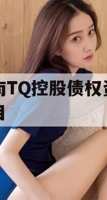 济南TQ控股债权资产项目