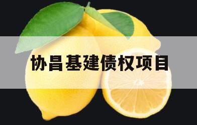 协昌基建债权项目