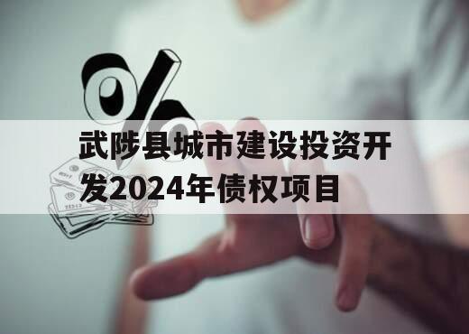 武陟县城市建设投资开发2024年债权项目