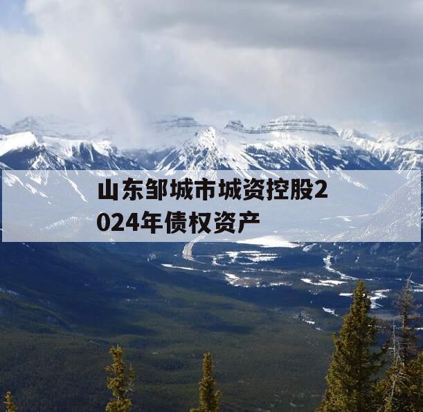 山东邹城市城资控股2024年债权资产