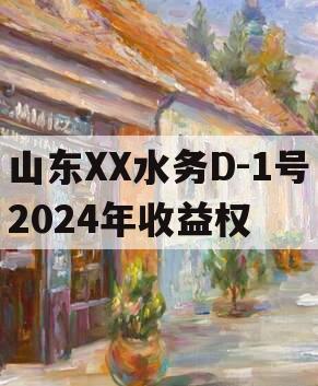 山东XX水务D-1号2024年收益权