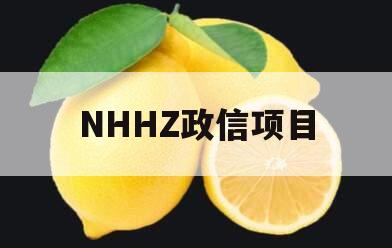 NHHZ政信项目