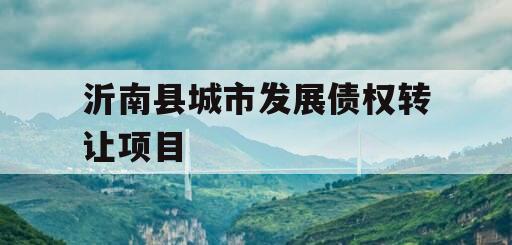 沂南县城市发展债权转让项目