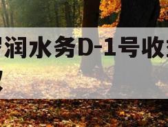 罗润水务D-1号收益权