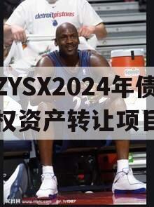 ZYSX2024年债权资产转让项目