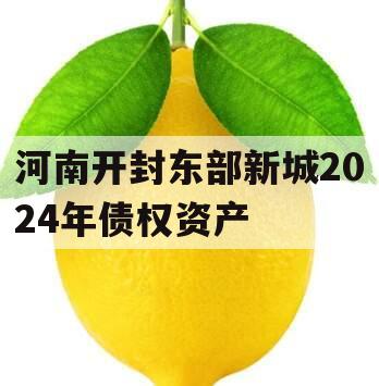 河南开封东部新城2024年债权资产
