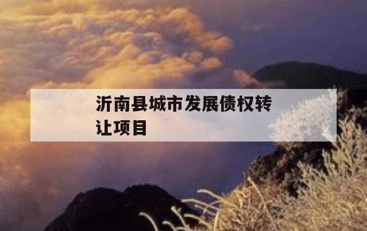 沂南县城市发展债权转让项目