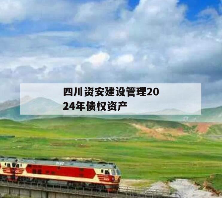 四川资安建设管理2024年债权资产