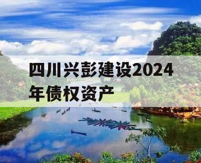 四川兴彭建设2024年债权资产