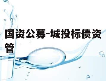 国资公募-城投标债资管