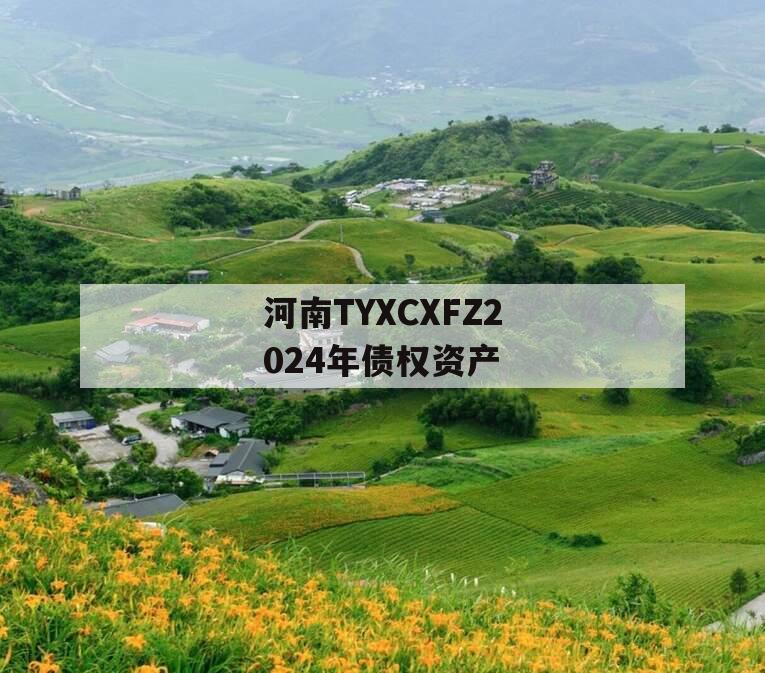 河南TYXCXFZ2024年债权资产