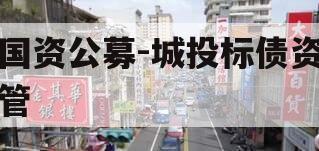 国资公募-城投标债资管