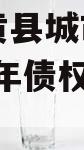 河南内黄县城市投资开发2024年债权转让项目