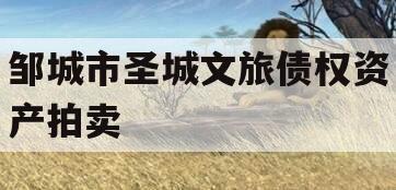 邹城市圣城文旅债权资产拍卖