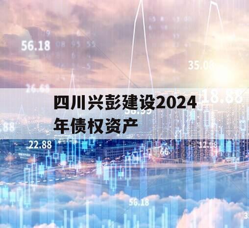 四川兴彭建设2024年债权资产