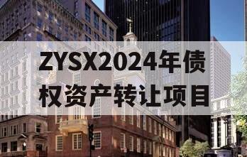 ZYSX2024年债权资产转让项目