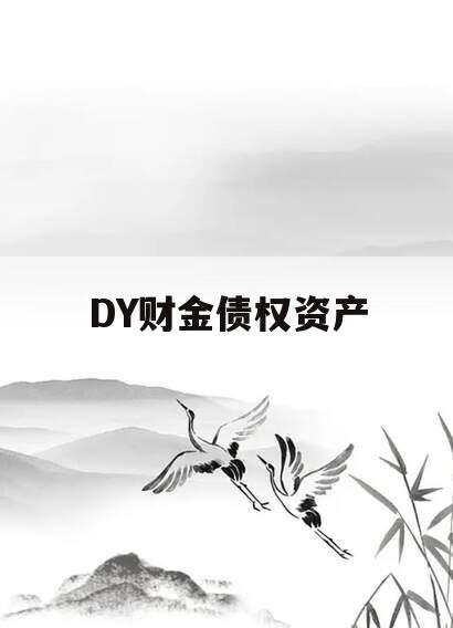 DY财金债权资产