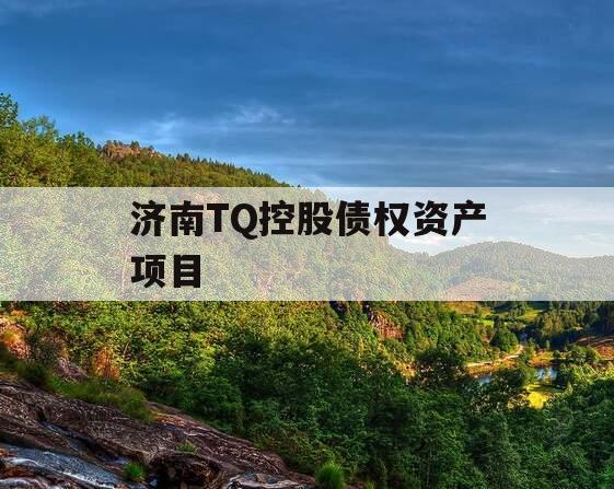 济南TQ控股债权资产项目