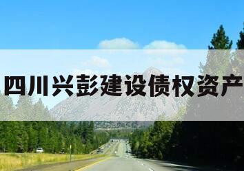 四川兴彭建设债权资产