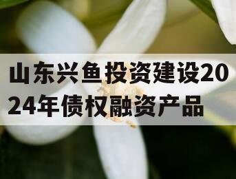 山东兴鱼投资建设2024年债权融资产品