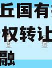 河南沈丘国有投资2024年债权转让项目城投债定融
