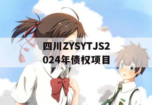 四川ZYSYTJS2024年债权项目