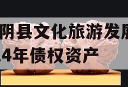 汤阴县文化旅游发展2024年债权资产