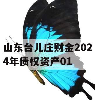 山东台儿庄财金2024年债权资产01