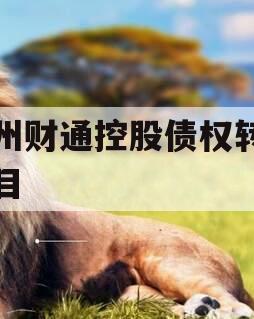 林州财通控股债权转让项目