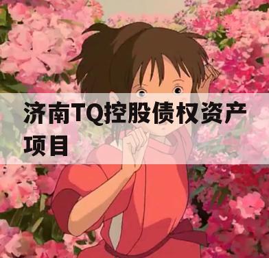 济南TQ控股债权资产项目