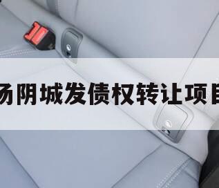 汤阴城发债权转让项目