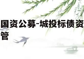 国资公募-城投标债资管