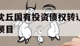 沈丘国有投资债权转让项目