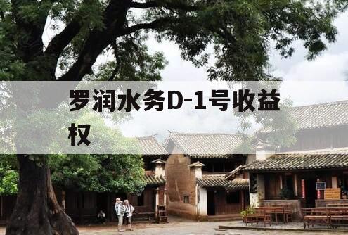 罗润水务D-1号收益权