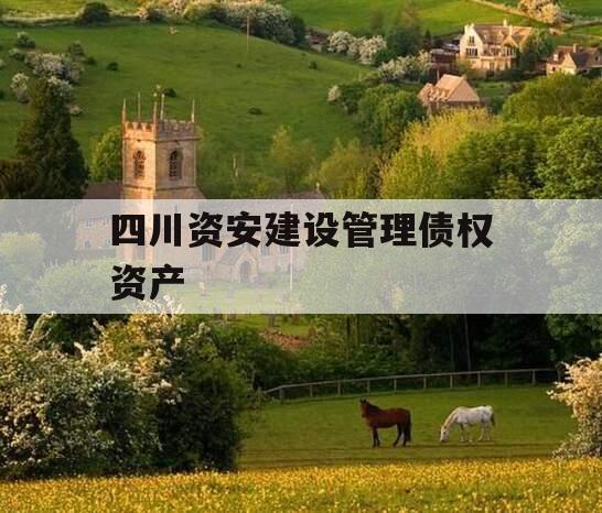 四川资安建设管理债权资产