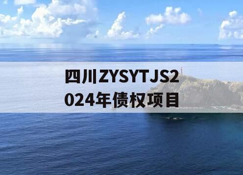 四川ZYSYTJS2024年债权项目