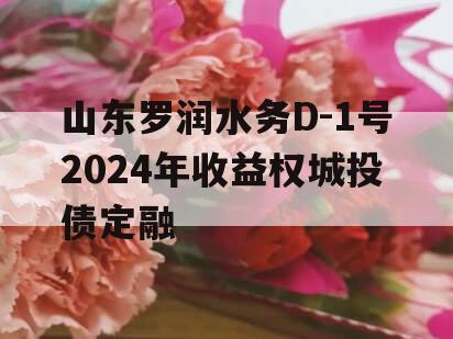 山东罗润水务D-1号2024年收益权城投债定融