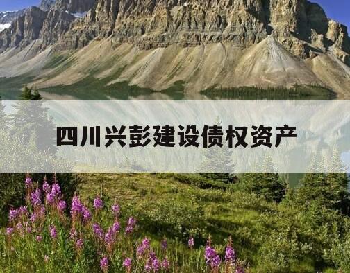 四川兴彭建设债权资产