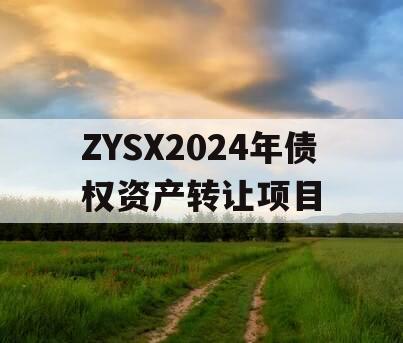 ZYSX2024年债权资产转让项目