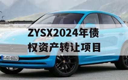 ZYSX2024年债权资产转让项目