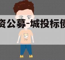 国资公募-城投标债资管