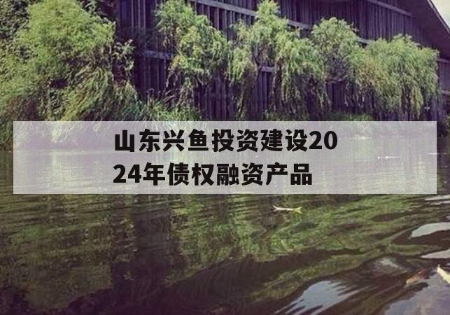 山东兴鱼投资建设2024年债权融资产品