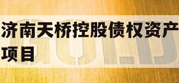 济南天桥控股债权资产项目